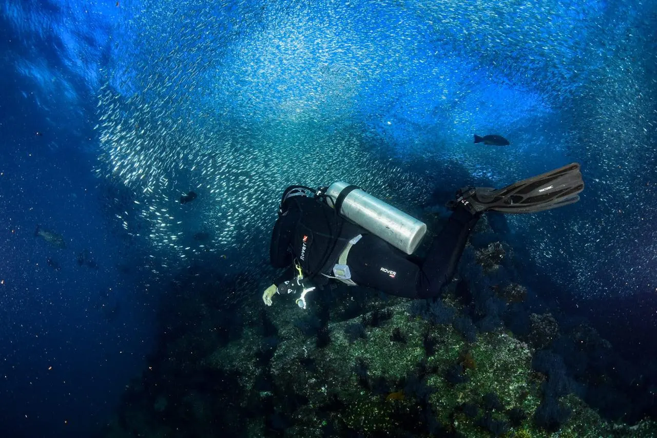 Plongeur et ses bulles dans le parc national de Cabo Pulmo