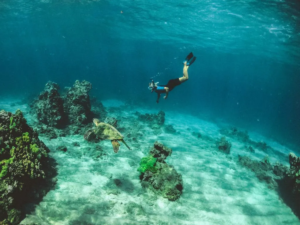 Snorkeleur au-dessus d'un récif de corail