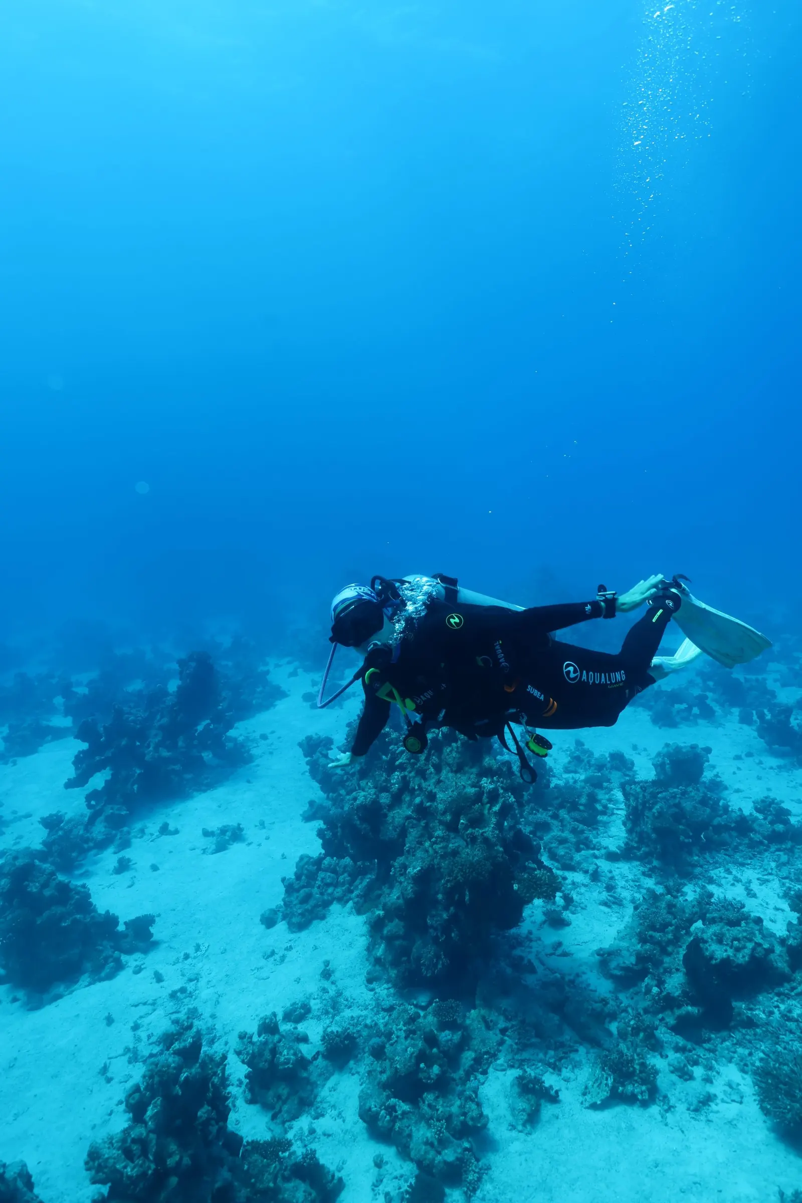 Plongeur au-dessus d’un récif corallien, mer Rouge