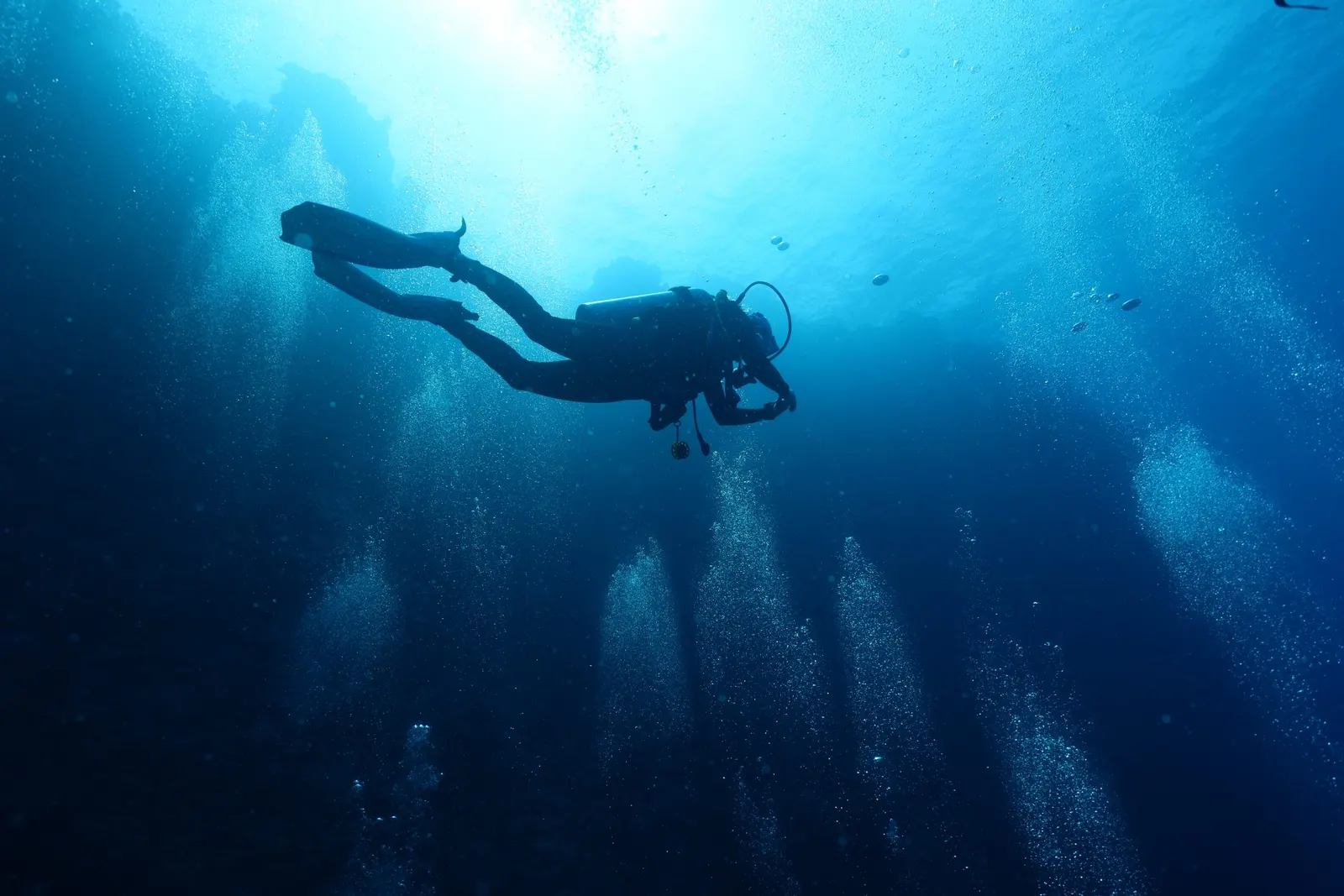 Silhouette de plongeur dans le bleu à Daedalus